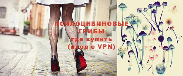 дмт Алзамай