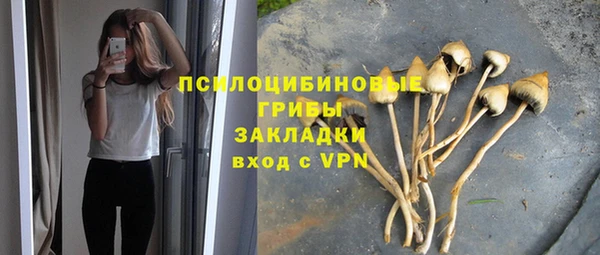 дмт Алзамай