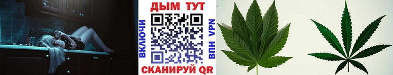 KRAKEN ТОР  купить  цена  Полысаево  площадка Telegram  Конопля MAZAR 